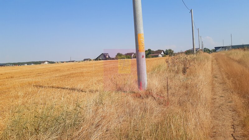 Teren pentru casa/case in Branesti pe strada Toporasi