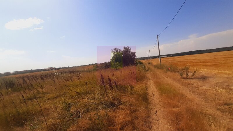 Teren pentru casa/case in Branesti pe strada Toporasi