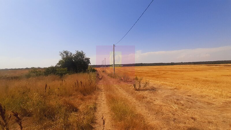 Teren pentru casa/case in Branesti pe strada Toporasi