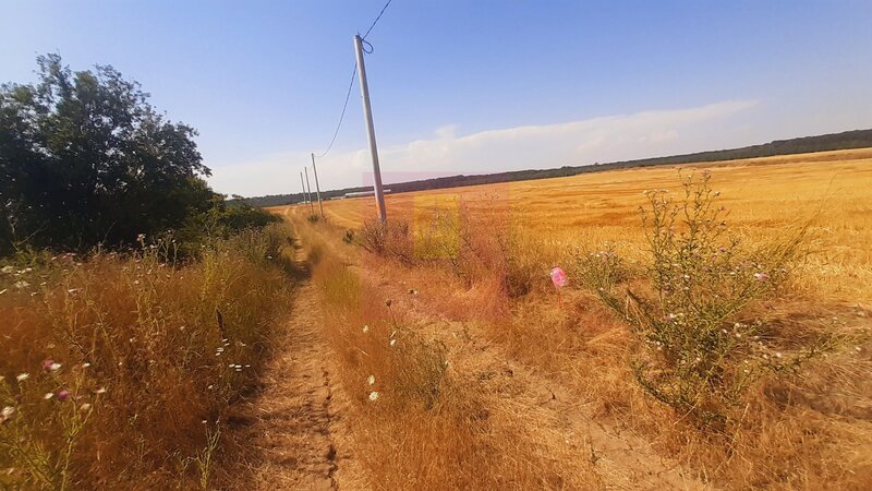 Teren pentru casa/case in Branesti pe strada Toporasi