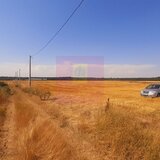 Teren pentru casa/case in Branesti pe strada Toporasi