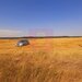 Teren pentru casa/case in Branesti pe strada Toporasi