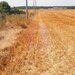 Teren pentru casa/case in Branesti pe strada Toporasi