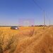 Teren pentru casa/case in Branesti pe strada Toporasi