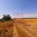 Teren pentru casa/case in Branesti pe strada Toporasi