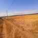 Teren pentru casa/case in Branesti pe strada Toporasi